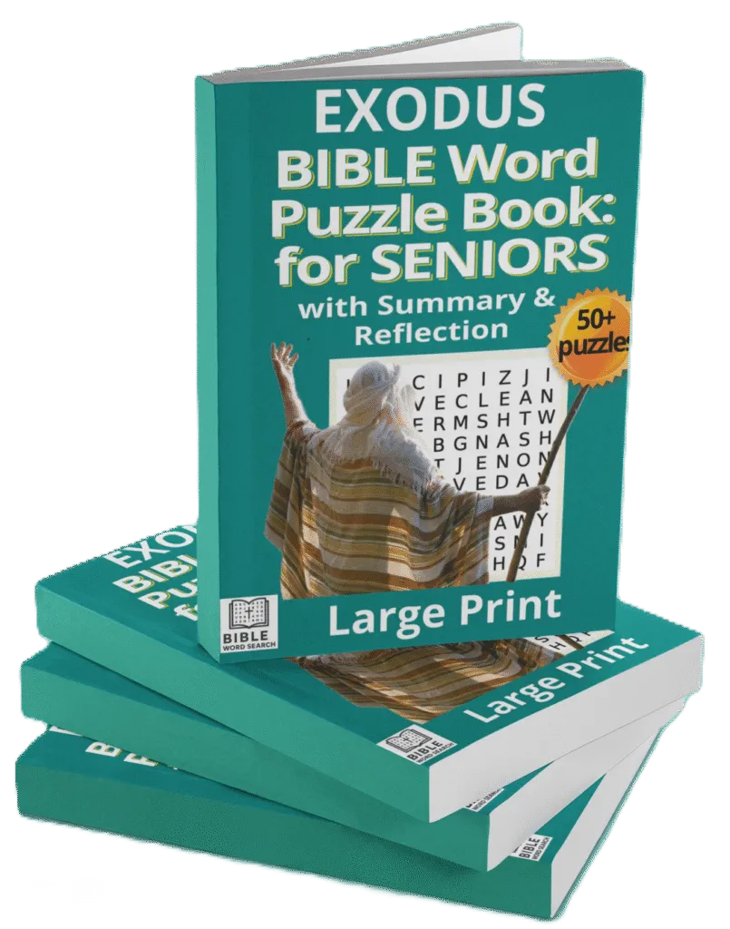 Bible word puzzle books